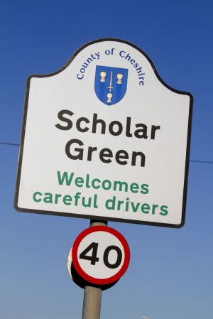 scholar green 6 sm.jpg